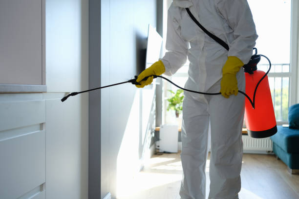 Best Mold Remediation for Schools in Dinuba, CA