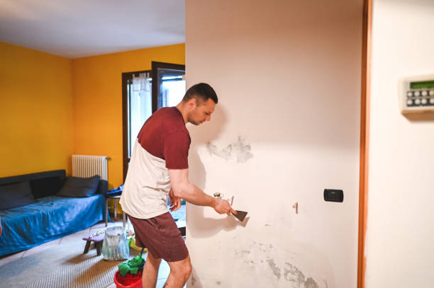 Best Basement Mold Remediation in Dinuba, CA